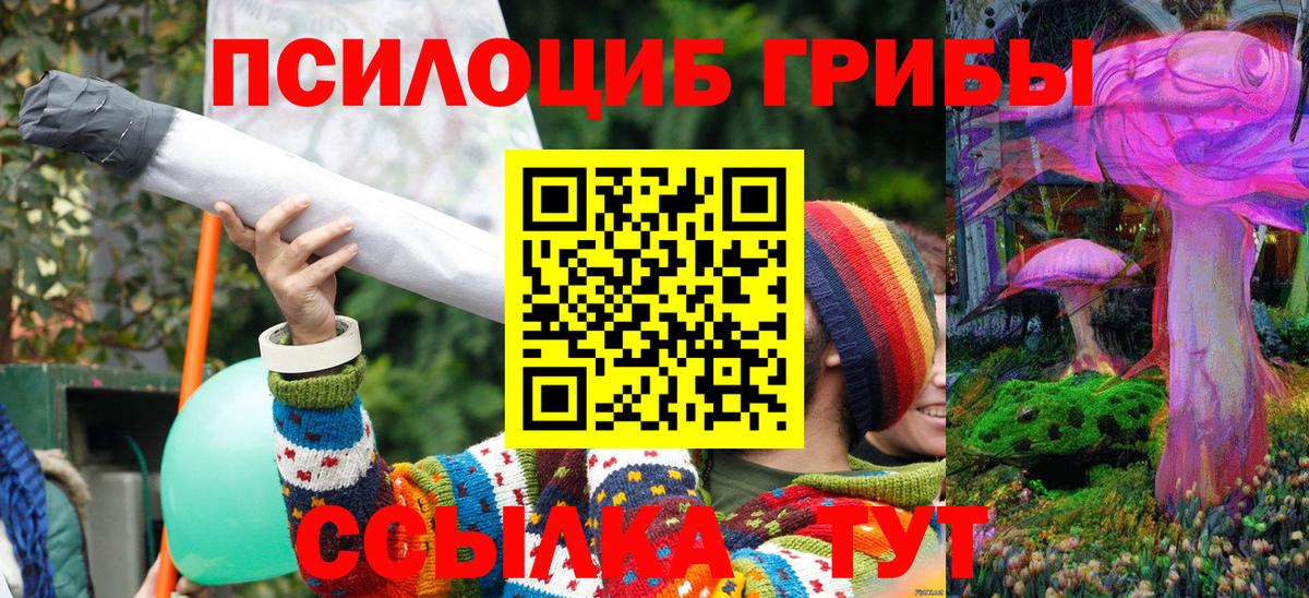 Псилоцибиновые грибы мухоморы  Вход с VPN  Дзержинский  хочу наркоту  Псилоцибиновые грибы GOLDEN TEACHER 