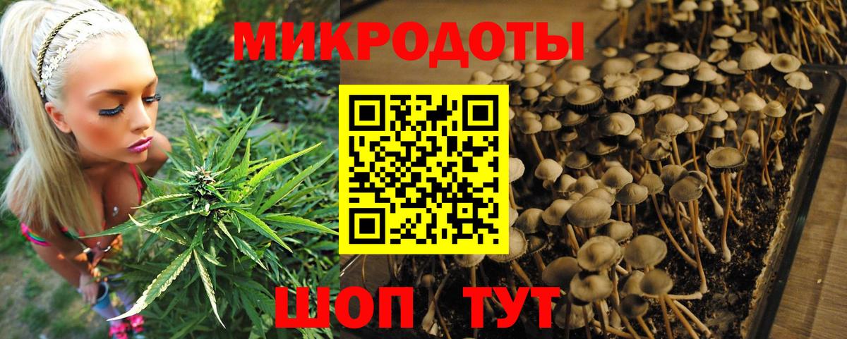 Галлюциногенные грибы мухоморы Дзержинский